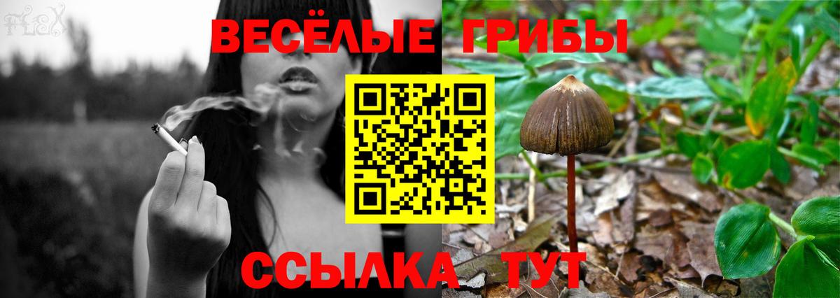 Псилоцибиновые грибы GOLDEN TEACHER  Вход с VPN  Псилоцибиновые грибы Psilocybe  сколько стоит  Усть-Лабинск 
