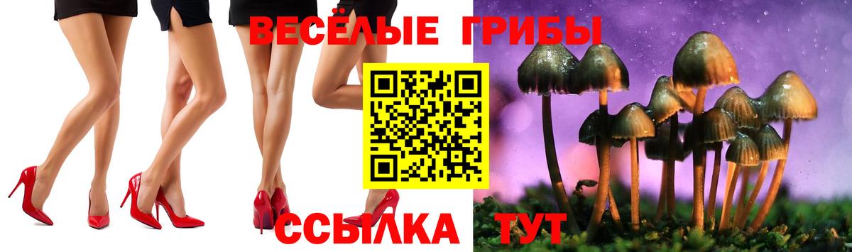 Псилоцибиновые грибы Psilocybine cubensis Усть-Лабинск